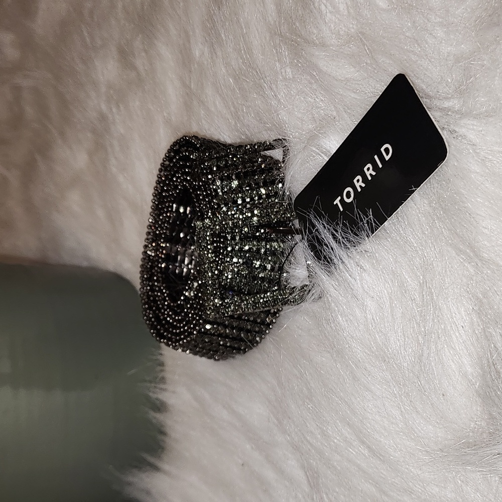 Torrid Hematite Belt